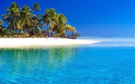 Tropical Beach Windows 11 10 Theme Themepack Me