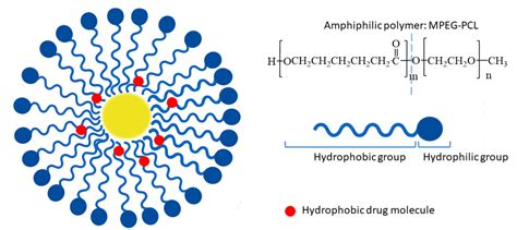 Ijms Free Full Text Fisetin—in Search Of Better Bioavailability