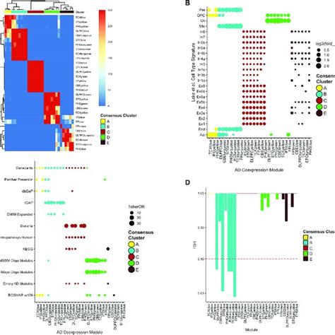 Human Consensus Rna Seq Coexpression Modules A Gene Set Overlap