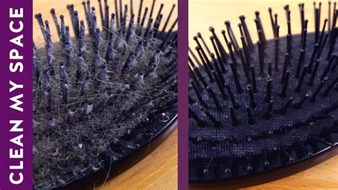 How To Clean A Comb Easy And Great Guide Beezzly