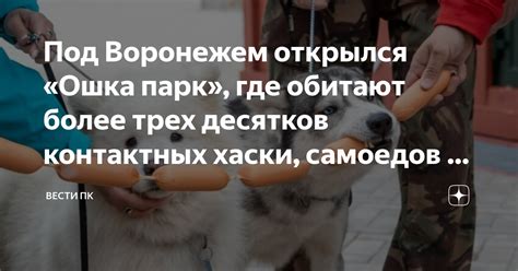 Под Воронежем открылся «Ошка парк», где обитают более трех десятков ...