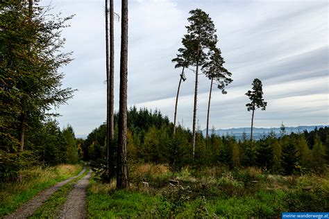 NÖ Landesrundwanderweg Etappe 04 Neustadtl an der Donau Ybbs