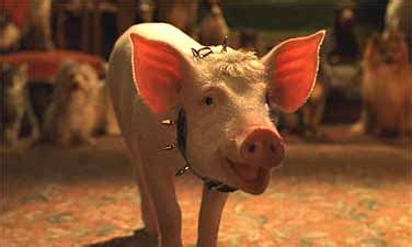 VFX HQ BABE PIG IN THE CITY