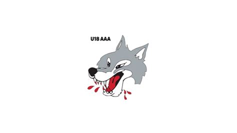 Sudbury Wolves U16 Aaa Events Flohockey Hockey