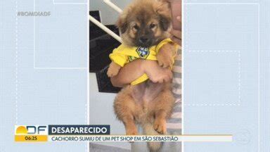 Bom Dia Df Cachorro Foge De Petshop Em S O Sebasti O Globoplay