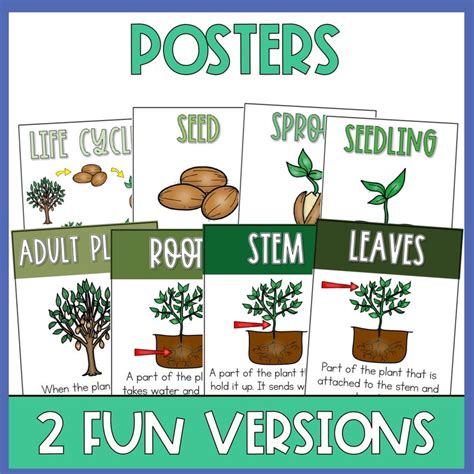 Life Cycle Of A Plant Anchor Charts 2nd 3rd Grade Life Science Posters Etsy