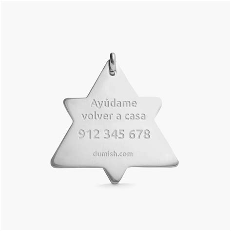 🟣 Placa Para Perros Diseño Amatista