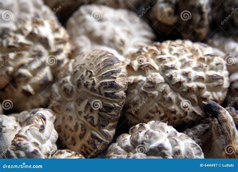 Dried Mushrooms Stock Photo 7206306