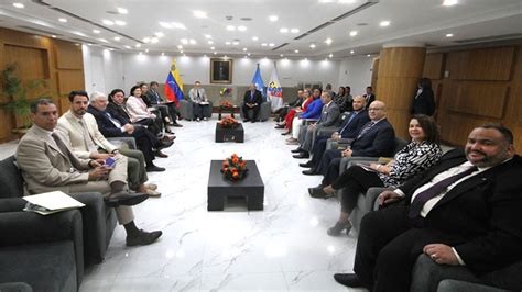 Cne Recibe Al Panel De Expertos Electorales De La Onu