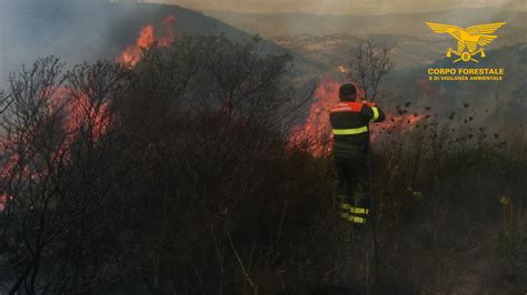 Sardegna Brucia Ieri Incendi