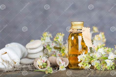 Glass Bottle Of Horse Chestnut Oil Extract Stock Image Image Of Care