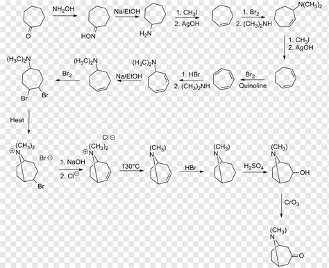 Tropinone Sintesis Kimia Sintesis Total Sintesis Organik Kimia Wills