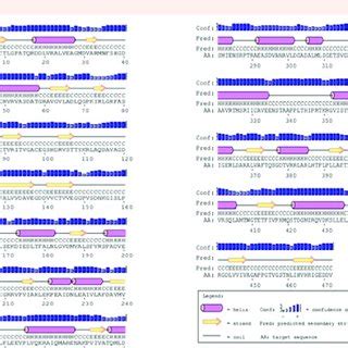 a: The predicted secondary structure of the modeled pyruvate kinase ... 