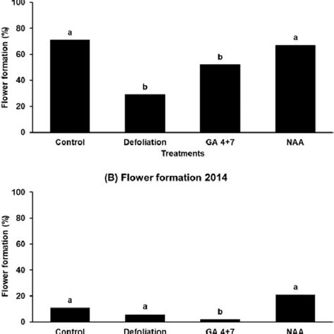 Effect Of Defoliation And Gibberellin GA 4 7 And 1 Naphthaleneacetic