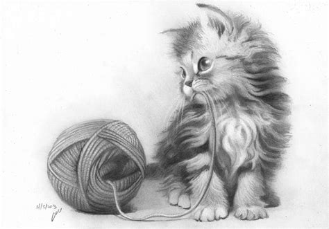 Disegni Di Gatti Realistici Disegni Hd