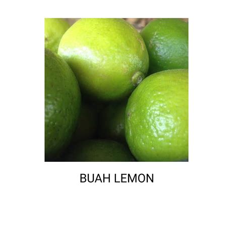 Jeruk Lemon 1KG / Buah Jeruk Lemon - Lemon Segar | Lazada Indonesia