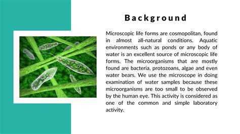 Examination Of Microorganisms From Pond And Water Sample Ppt