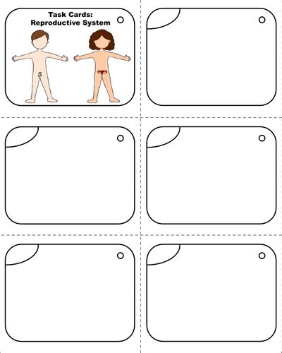 Reproductive System Task Cards Human Body Systems Task Cards Teaching Resources