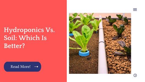 Hydroponics Vs Soil Which Is Better Unified Garden