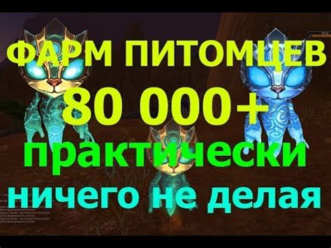 Фарм Питомцев ( 80к золота+ ) практически ничего не делая - YouTube