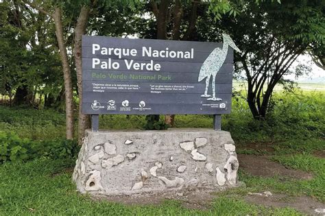 Palo Verde National Park Costa Rica Traveland