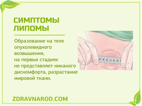 Липома. Способы, как избавиться от липомы | Народная медицина