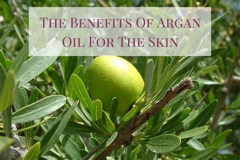 The Benefits Of Argan Oil For The Skin Skincare Hunting