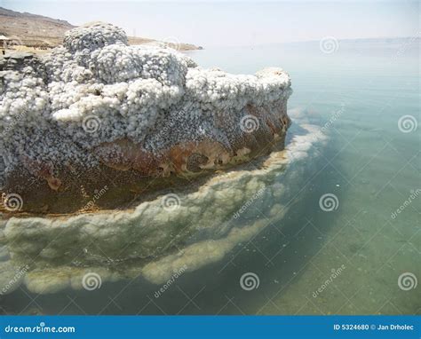 Dead Sea beach stock photo. Image of minerals, rocks, horizontal - 5324680