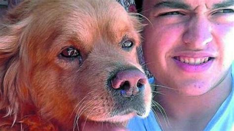 La Travesía De Tuto El Perro Que Recorrió 2 000 Kilómetros Para Volver