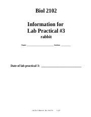 2102 Lab Test 3 Material Rabbit Docx Biol 2102 Information For Lab