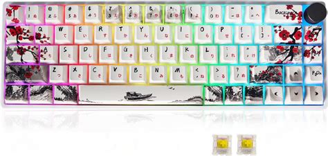 Amazon YUNZII YZ Hot Swappable Wireless Keyboard Gateron G Pro Red Black Coffee Cat