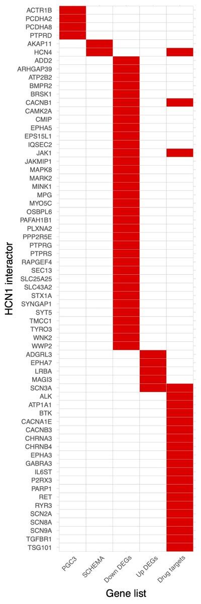 Kasper Lage On Twitter We Observed Convergent Genetic Signals In The