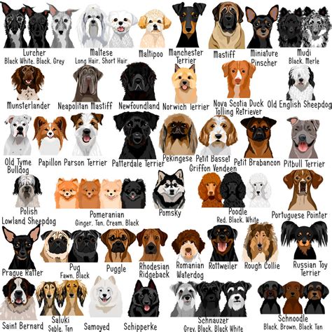 Dog Images With Breed Names