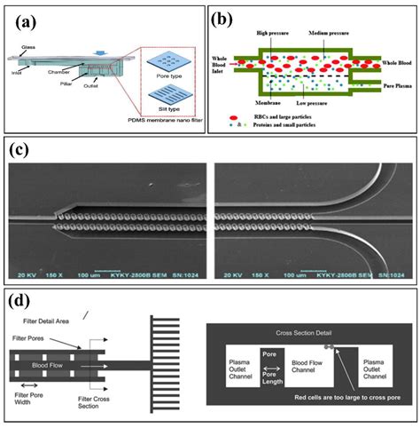 Biosensors Free Full Text Biomedical Applications Of Microfluidic