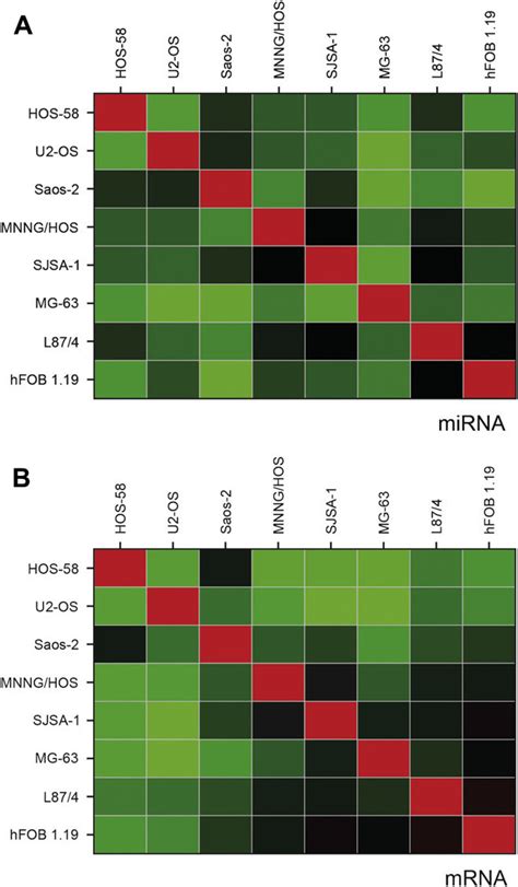 Correlation Heat Maps Pearson Demonstrate The Similarity Of Mirna A Download Scientific