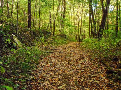 Hiking in Pinnacle Park, Sylva, North Carolina