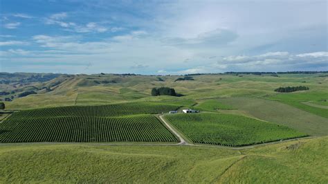 Kumeu River Rays Road Chardonnay Hawkes Bay Jancis Robinson