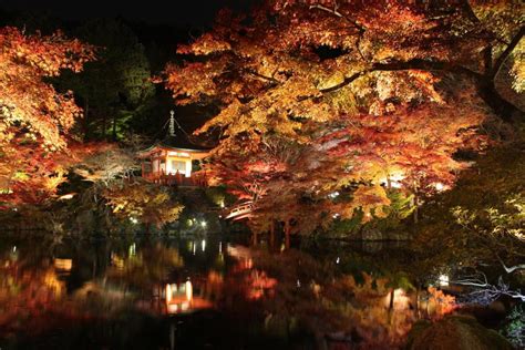 醍醐寺 秋期夜間拝観｜【京都市公式】京都観光navi