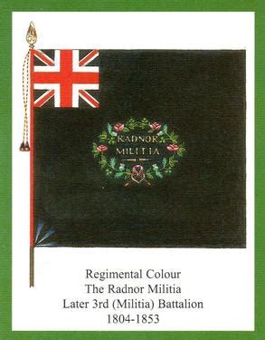 Regimental Colours The South Wales Borderers Nd Series Non