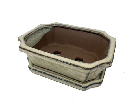 Rectangular Ceramic Bonsai Pot with Drip Tray in Cream - 15.5cm - Bonsai2U