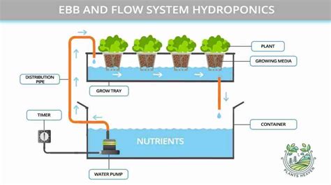 Here Are Ebb And Flow System Pros And Cons And Why You Should Consider