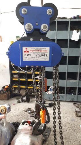 Maruti Ech Power Lift Hoist 110v Capacity 1 3 Ton At Rs 55000 In Ahmedabad