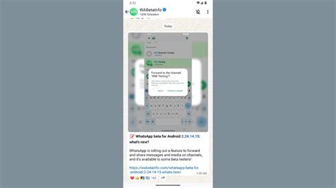 WhatsApp Kullanıcılarının Güvenliği İçin Büyük Adım Mavi Tik Geliyor