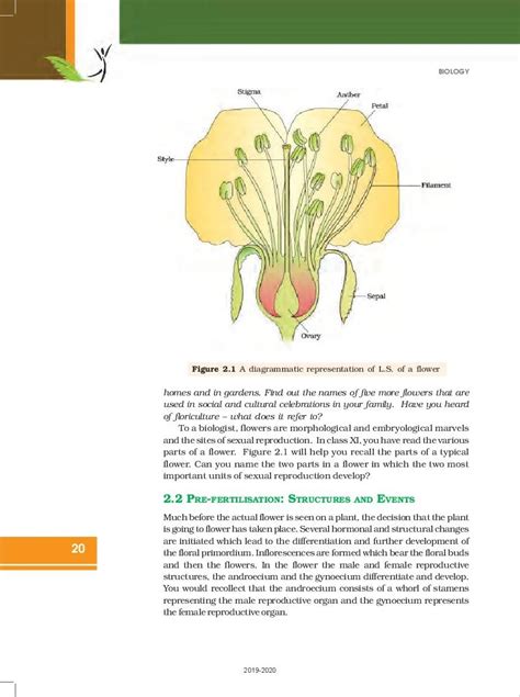 Up Board Book Class 12 Biology Chapter 2 Sexual Reproduction In Flowering Plants