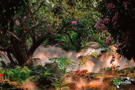 [PHOTOS] This Breathtaking Café In Thailand Looks Straight Out Of A ...
