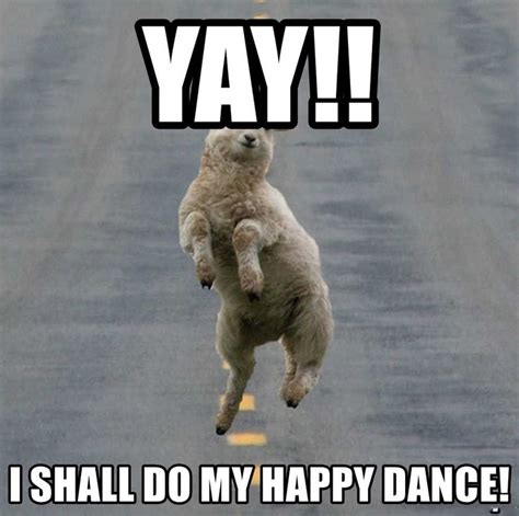 Happy Dance Funny