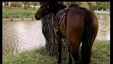 Cristina F Full Movie Hd Restyling Version Anal Porn Feat Shasta Xhamster