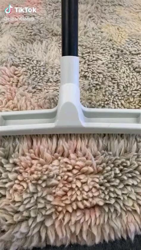 Clean Your Carpet Collected Artofit