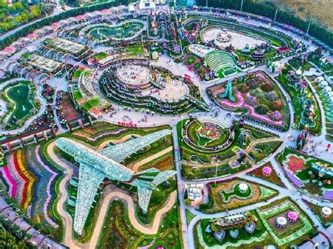 Самый большой в мире природный парк цветов: “Dubai Miracle Garden” | Пикабу