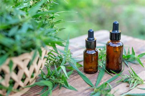 Le CBD ces nombreux bienfaits sur la santé mentale et physique